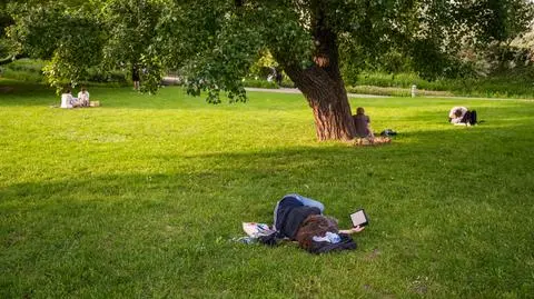 Zbliżymy się do 30 stopni. Kiedy zrobi się ciepło