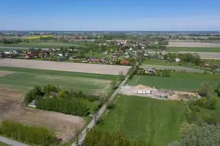 Baranów