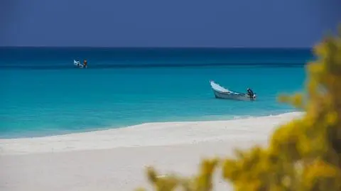 shutterstock_2240508931