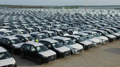 Samochody na wyspie Lamu, Kenia