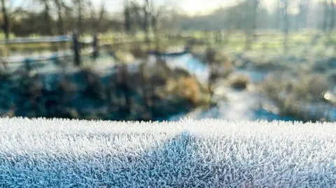 przymrozki, mróz, szron