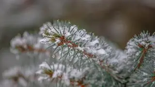 W części kraju sypnie śniegiem