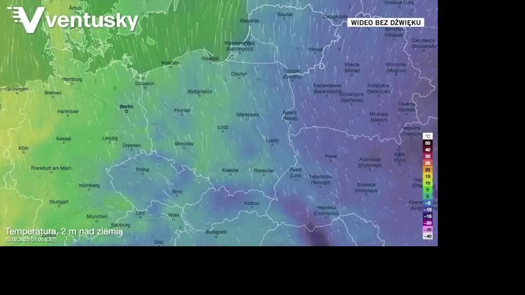 V TEMP