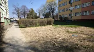 Zabójstwo czy obrona konieczna? Prokuratura stawia zarzuty po śmierci 26-latka