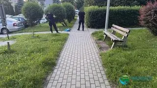 Strzał w Tarnowie