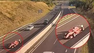 Kierowca bolidu na autostradzie