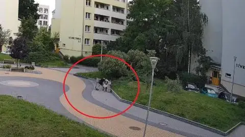 Policja opublikowała nagrania, na których widać jak mężczyzna zrywa łańcuszki starszym kobietom