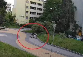 Podjeżdża na hulajnodze, zrywa łańcuszki i ucieka. Szuka go policja. Nagranie