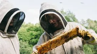 "Bugonia" reż. Yorgos Lanthimos