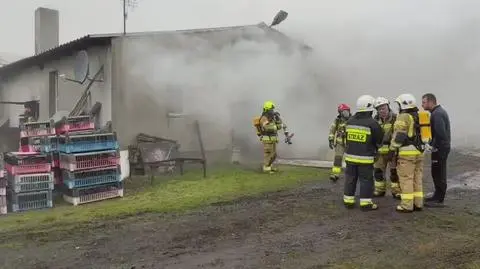 Pożar kurnika w powiecie kłobuckim. Spłonęło około 23 tysięcy kurcząt