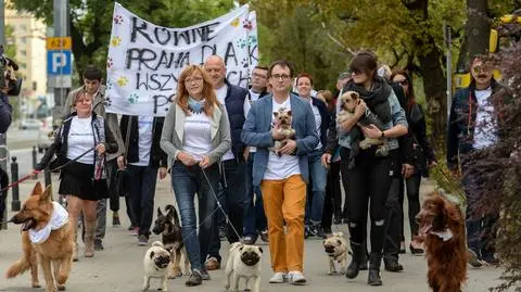 Duda powinien się wytłumaczyć z ekscesów z Kacperkiem
