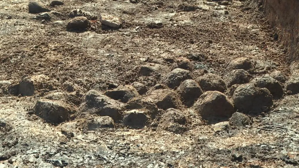 Wykopaliska archeologiczne w Wolinie