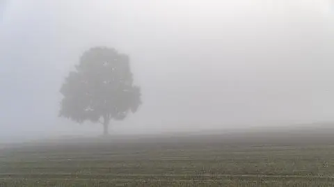W całym kraju będzie ponuro i chłodno
