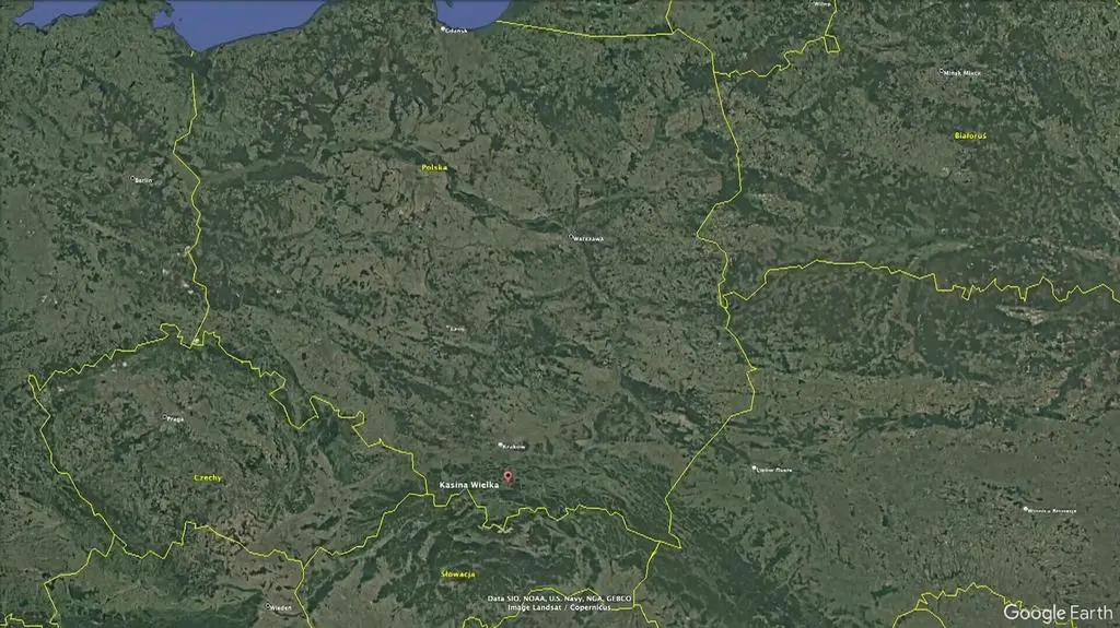 Klatka kluczowa-475286