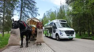 Fasiąg i bus elektryczny na trasie do Morskiego Oka