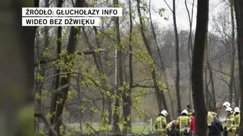Głuchołazy Info