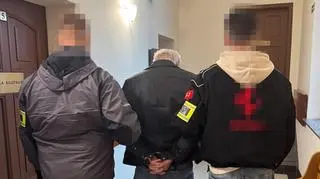 Akcja policji wymierzona w pedofilów