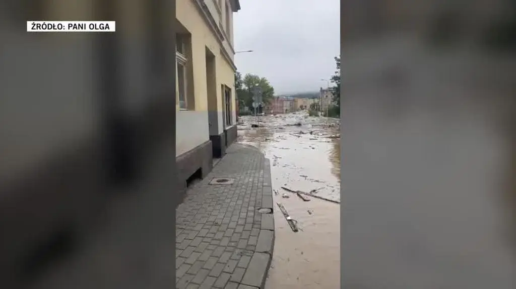 filmiki pani olga 