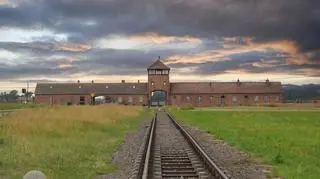 Nieautentyczne obrazy o Auschwitz. Muzeum apeluje do internautów