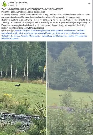 Informacja gminy Mysłakowice