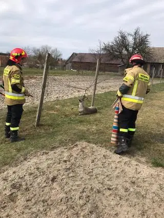 Zwierzę nie było w stanie samo się uwolnić