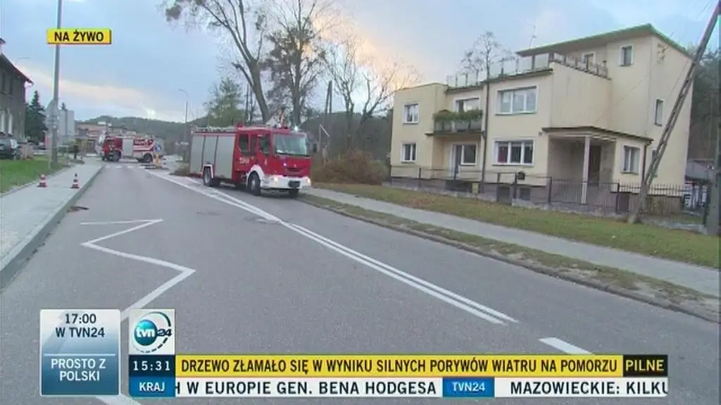 Rumia: drzewo zerwało linię