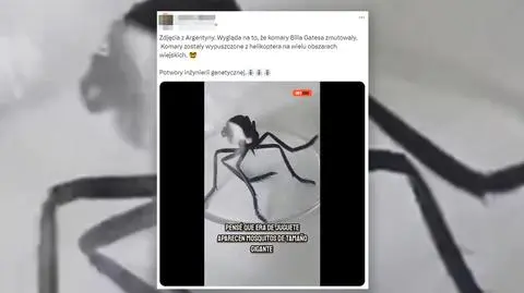 "Zmutowane komary" Billa Gatesa? Nie, wyjaśniamy