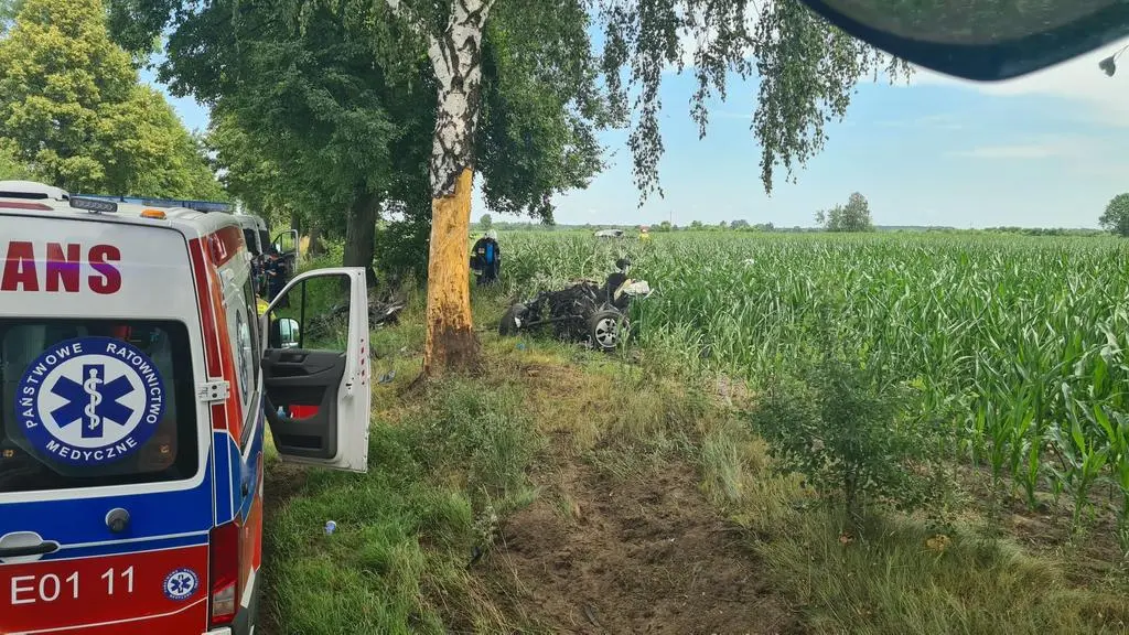 Wypadek pod Zgierzem
