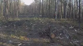 Miejsce rozbicia się MiG-29