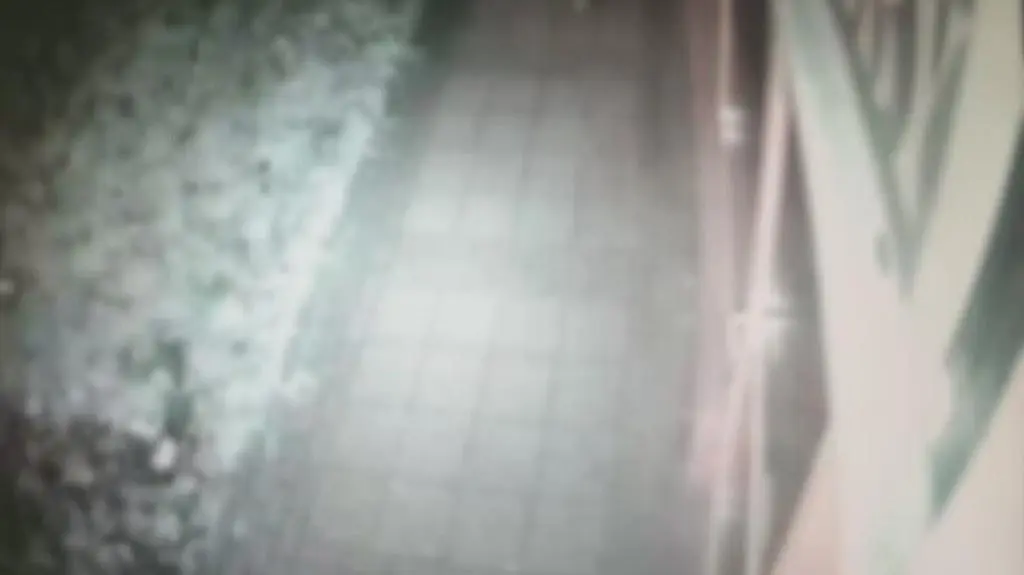 Kamery monitoringu zarejestrowały, jak dwóch mężczyzn bije 11-latka