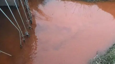 Woda w rzece zmieniła kolor. Pobrali próbki do badań