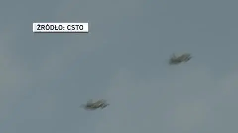dla momo csto