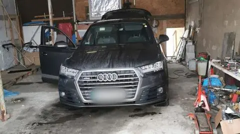 Kradli samochody metodą "na walizkę", potem cięli na części w dziuplach. Grupa rozbita