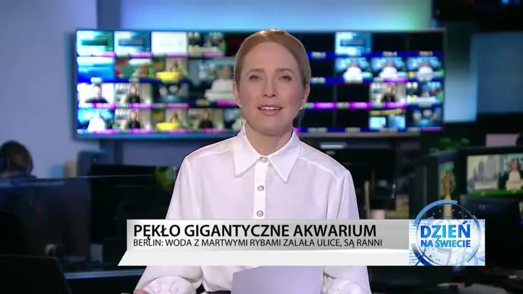 TVN24 BiS HD_20221216174146_aac_h264_microsoft_720_5000kbps