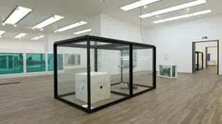 Retrospektywna wystawa Damiena Hirsta w Tate Modern