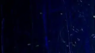 Ośmiometrowa wyrwa w drodze