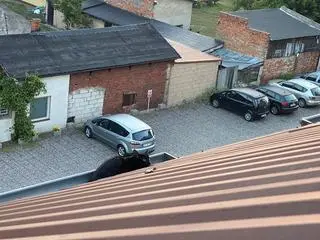 Kot był uwięziony w rynnie dachu jednego z bloków w Solcu Kujawskim