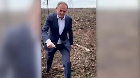 "Tak wygląda ten milion elektrycznych samochodów. To ten księżycowy krajobraz"