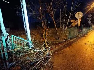 Uderzył w ogrodzenie posesji 