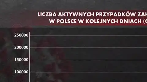 mielcarek 