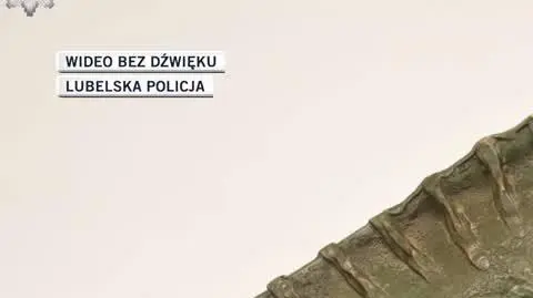 Lublin, ukradli krasnala i jaszczurkę