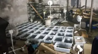Laboratorium znaleziono w Rypinie