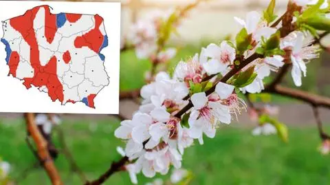 Prognoza na kwiecień. Wstępne przewidywania IMGW