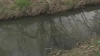 Policja dwa dni przeszukiwała rzekę i teren wokół