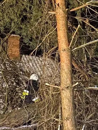 W akcji brał udział zastęp strażaków