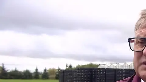 19 1105 olek tulipan