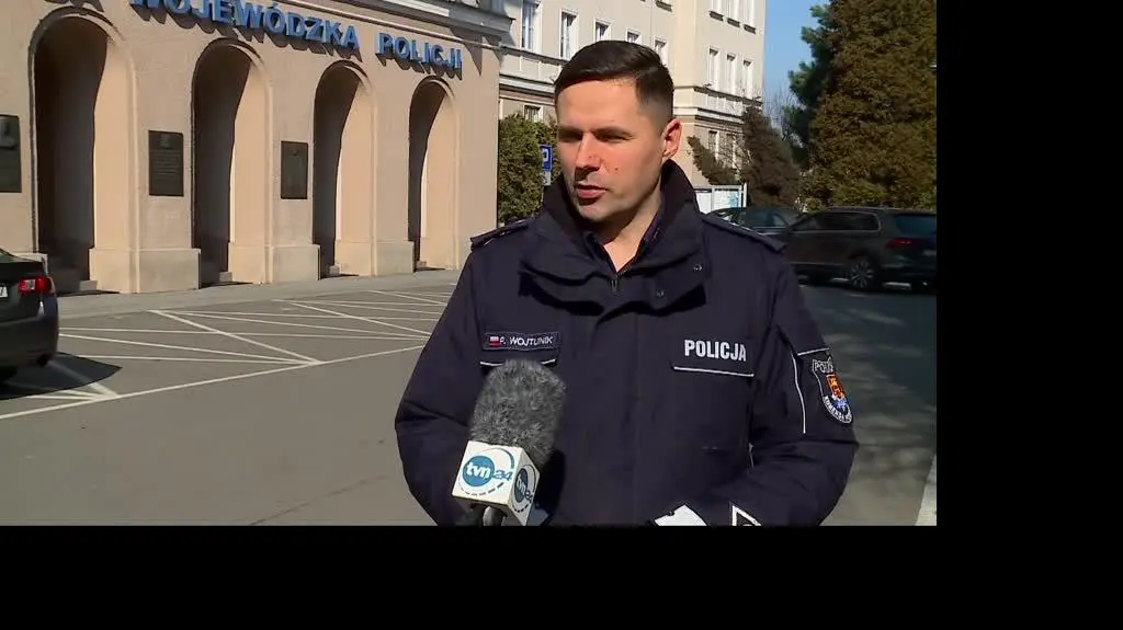niedzwiedz