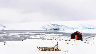 Port Lockroy na Antarktydzie