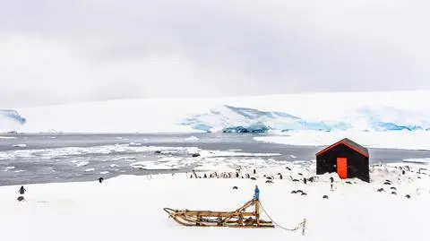 Port Lockroy na Antarktydzie