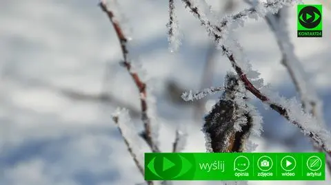 Nadeszła zima. Jak wygląda u Was?